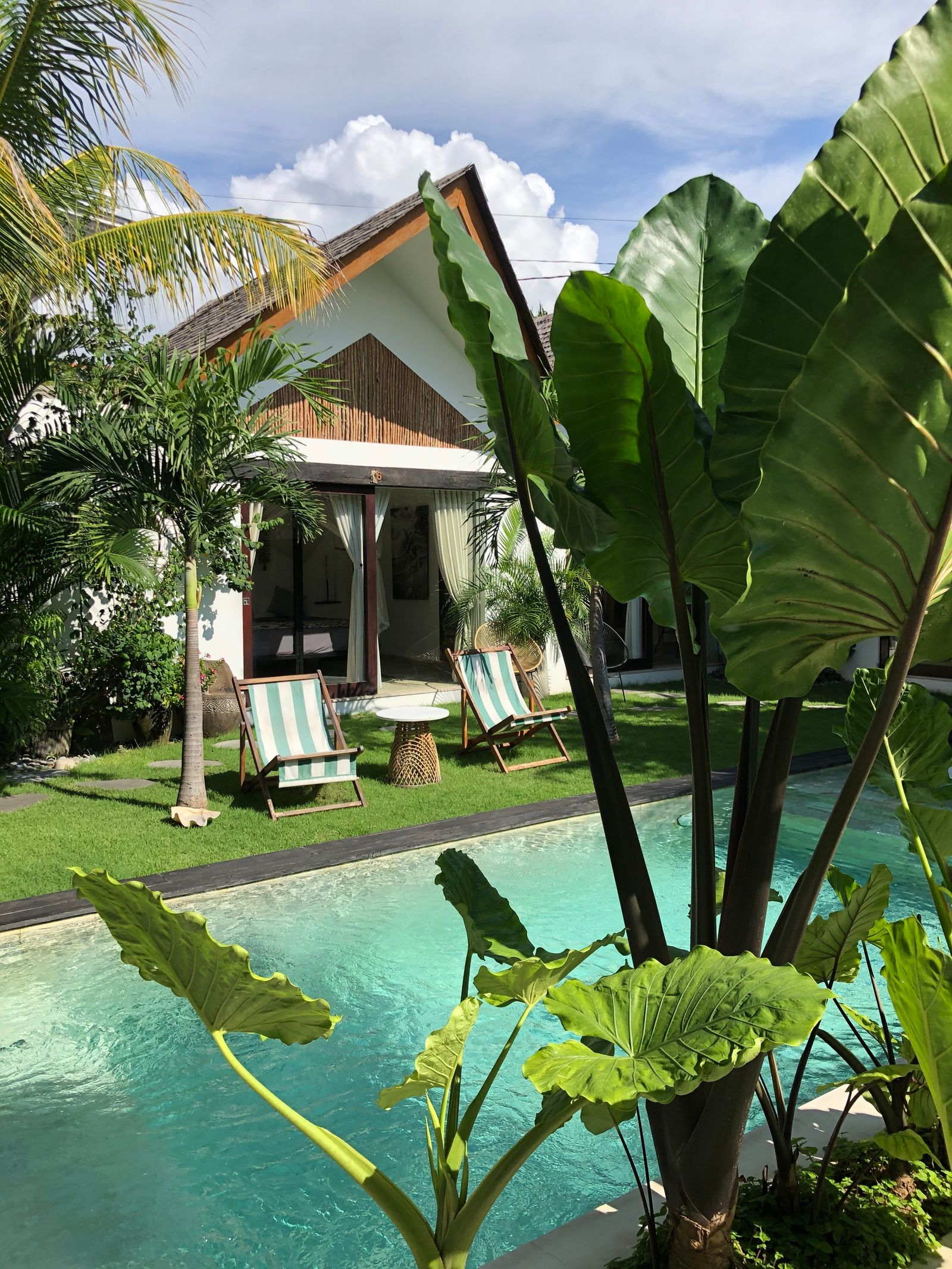 Limestone and tropical garden details